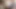 Travesti