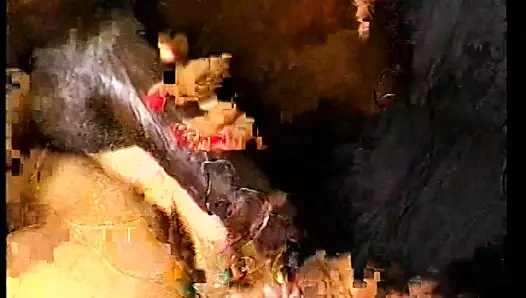 Büyük güzel kadınlar büyük siyah mandingo yarakları tarafından çifte sikiliyor