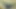 Eski bir araba tarafından ormanda lanet gf