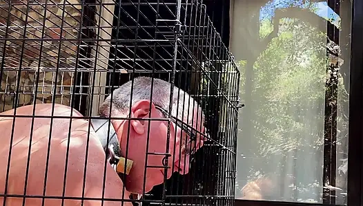 Caged - les chroniques d'une vie à ses pieds