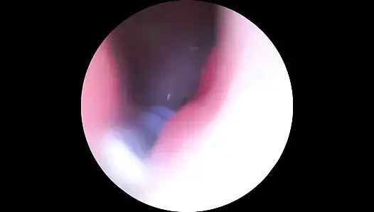 Камера в! Исследуя Gianna