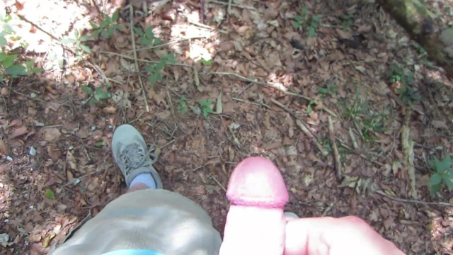 Im Wald ausgepackt