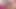 Ateşli Brezilyalı ıslak amına altın dildo sokuyor