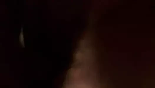 Başlarken kedi becerdin