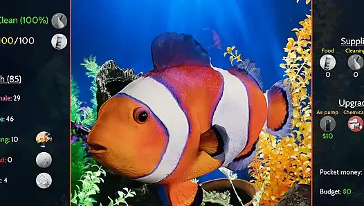 Bir dik 10 olmak - bölüm 343 loveskysan69'un sorunları