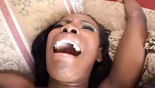 Deliklerindeki birçok sik - cilt #15 - (michael stefano filmleri)