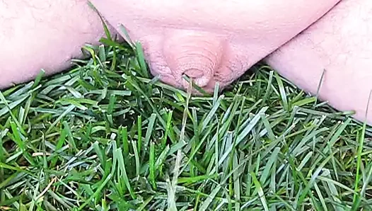 Büyük baba pissing 3