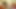 Büyük memeler milf lezbiyenler şerit için anal oynuyor