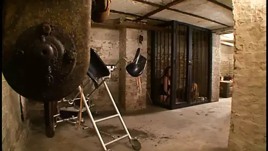 Saf sapıklık eylemleri !!! - travma #06