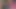 sen benim yeni sik emme kölem olacaksın