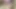 Hindi Marwari Bhabhi Sex Video Indian Sex Rajasthani Sex Desi Husband Wife Sex