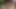Havuz kenarında güneşli bir günde ateşli biseksüel üçlü seksten daha iyi ne var