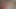 Örümcek tarafından korkan oda arkadaşları büyük zenci biniyor