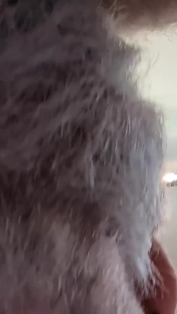 Epic moment from "Two Hairy Daddys in bed afterwork - Seattle gets bred"