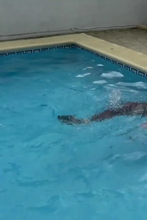 Wetsuit esaret denizkızı kaygan havuzda yüzgeçler, ip ve derin dalış