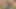 Sarışın genç veren ona erkek arkadaş oral seks
