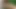 Tutkulu jav tanrıça sakura kiryu ateşli orta yaşlı seksi kadın sakso seansında heyecan verici