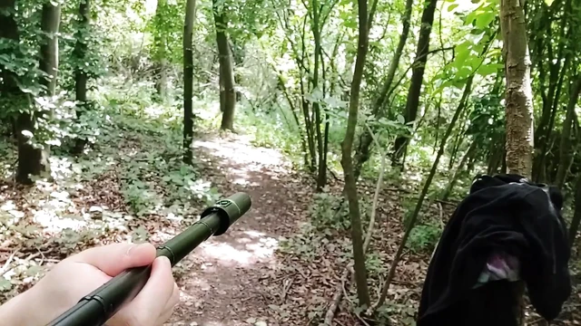 Беги обнаженной в лесу. видно из машины