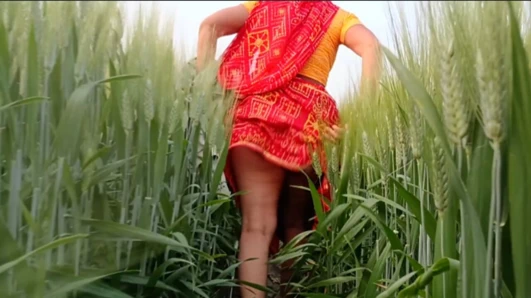 Desi Local Village Outdoor Fucking Desi School Girl Outdoor Jungl