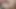 2503eotec I Ii Full French Slut Fuck Pussy Ass to Mouth Dick Suck Satin Lingerie Heels