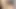 Pov: licking the pussy of the biggest ass girl in school, with cumshot in the ass
