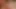 Dev bir futanari'ye handjob vermek : 3d porno