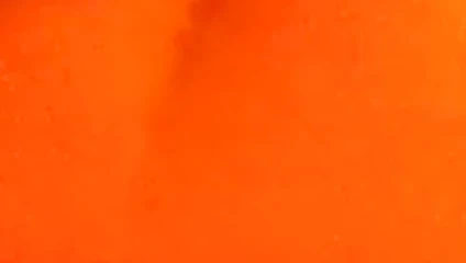 Ali alır the strapon köpek