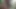 Kahrolası azgın gif!