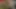 Ön emiyor ev yapımı video kıllı minik amcık Huje göğüsleri