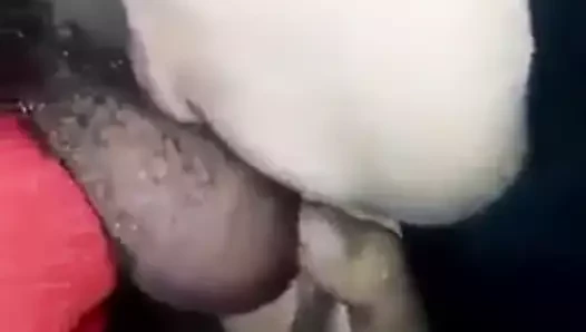 Nabila Tunisienne chienne