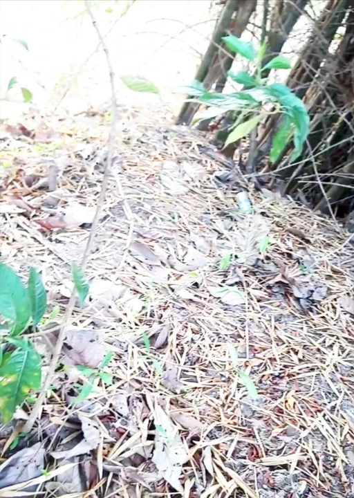 Deepa işiyor, deepa pondicherry