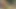 Benzinli chainsw çıplak kız dalları kesiyor