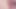 Bir genç tatlı ve güzel pembe kedi