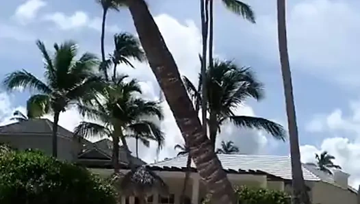 Vp06 - olnda castaneda 1iuy