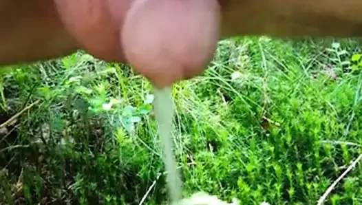 çok küçük klitoris pissing açık