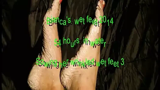 Bianca'nın ıslak ayakları 2014 bölüm 3