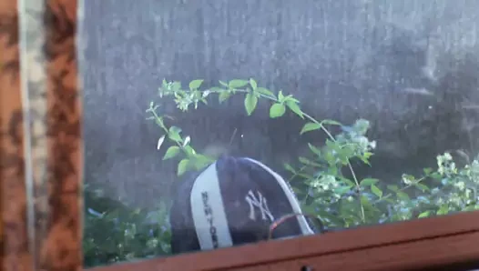 (((tiyatro fragmanı))) - pembe bayanlar (1979) - mkx