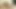 Erik bouna fotoğraf çekimi videosu