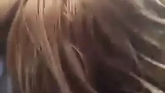 Minyon kar tavşanı