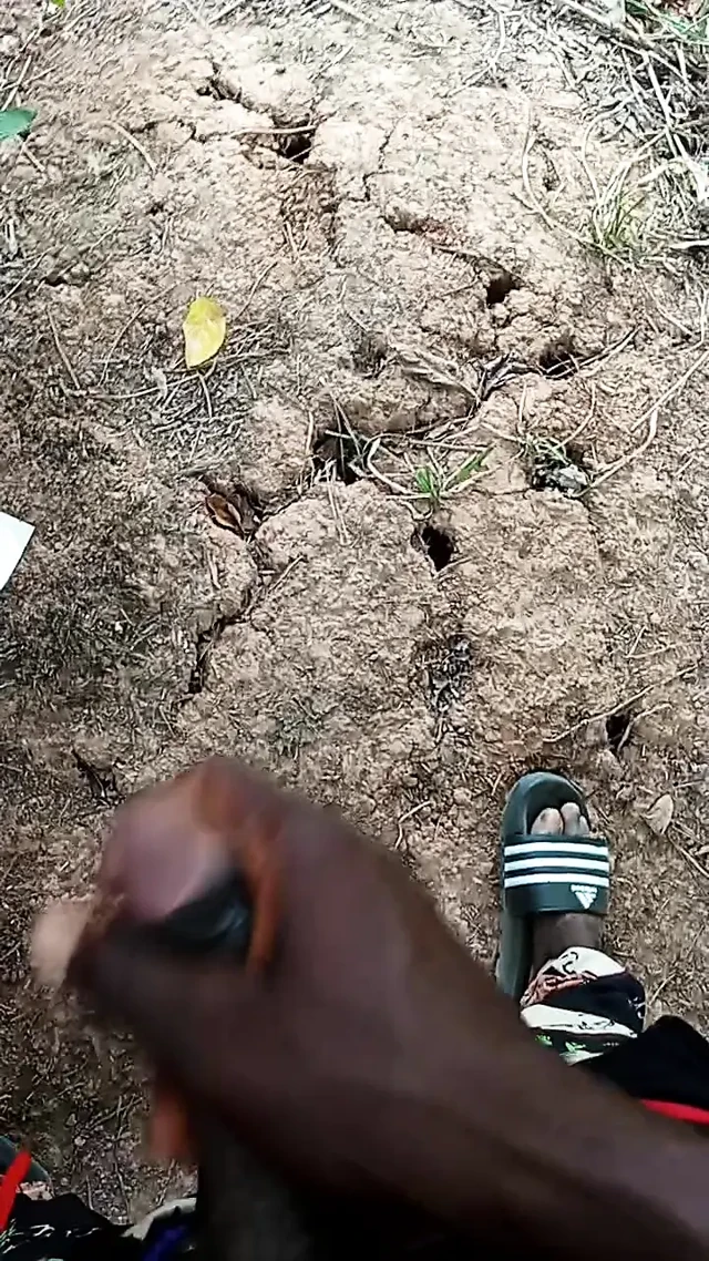 An African adult man masturbating inside the bush with his big dick