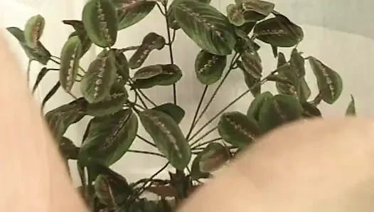 Azgın orta yaşlı seksi kadının iş görüşmesi ıslak anal sikişle bitiyor
