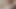 Paypig onu yıkadıktan sonra ayda 30 dolarda yaşıyor