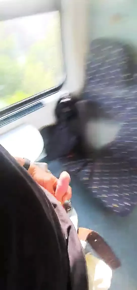 Иди обнаженной в поезде в общественном месте