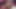 Dildo Dash'ten Victoria Peaks ve Misty Rein siparişi
