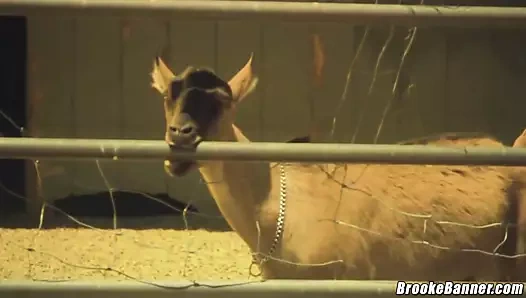 Brooke afişi. 19 yaşındaki üvey baba sikikleri ve yük vuruyor