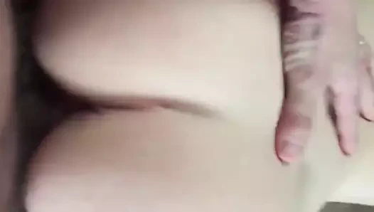 sarışın güzellik köpek stili