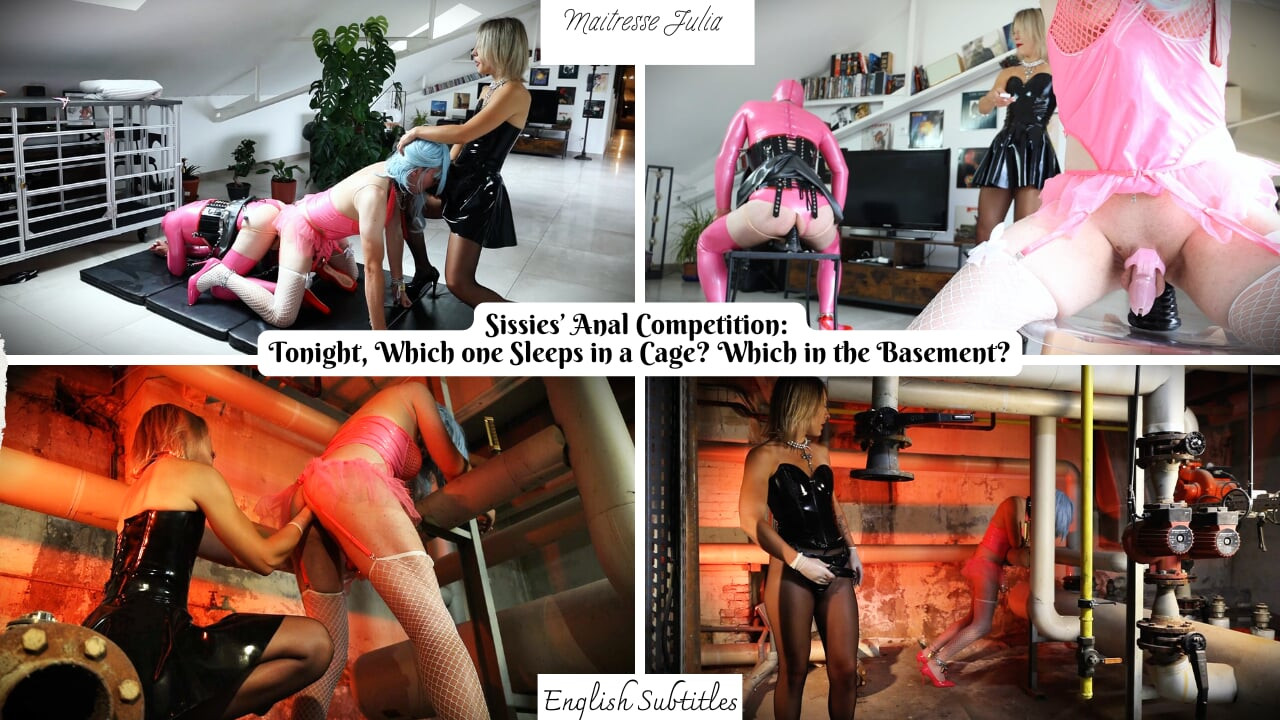 Sissies' Anal Competition: Who'll Stay in the Cage? Who'll Go in the Basement? Mistress Julia