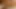 Dani daniels cadılar bayramı mastürbasyon
