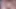 Fantasy_AI_Indian