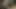 Seksi esmer kızlar birbirlerini parmaklıyor